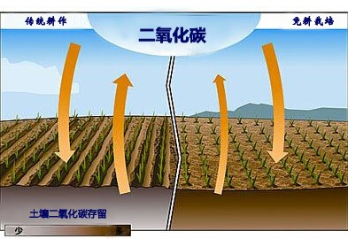 发明碳吸收土壤.