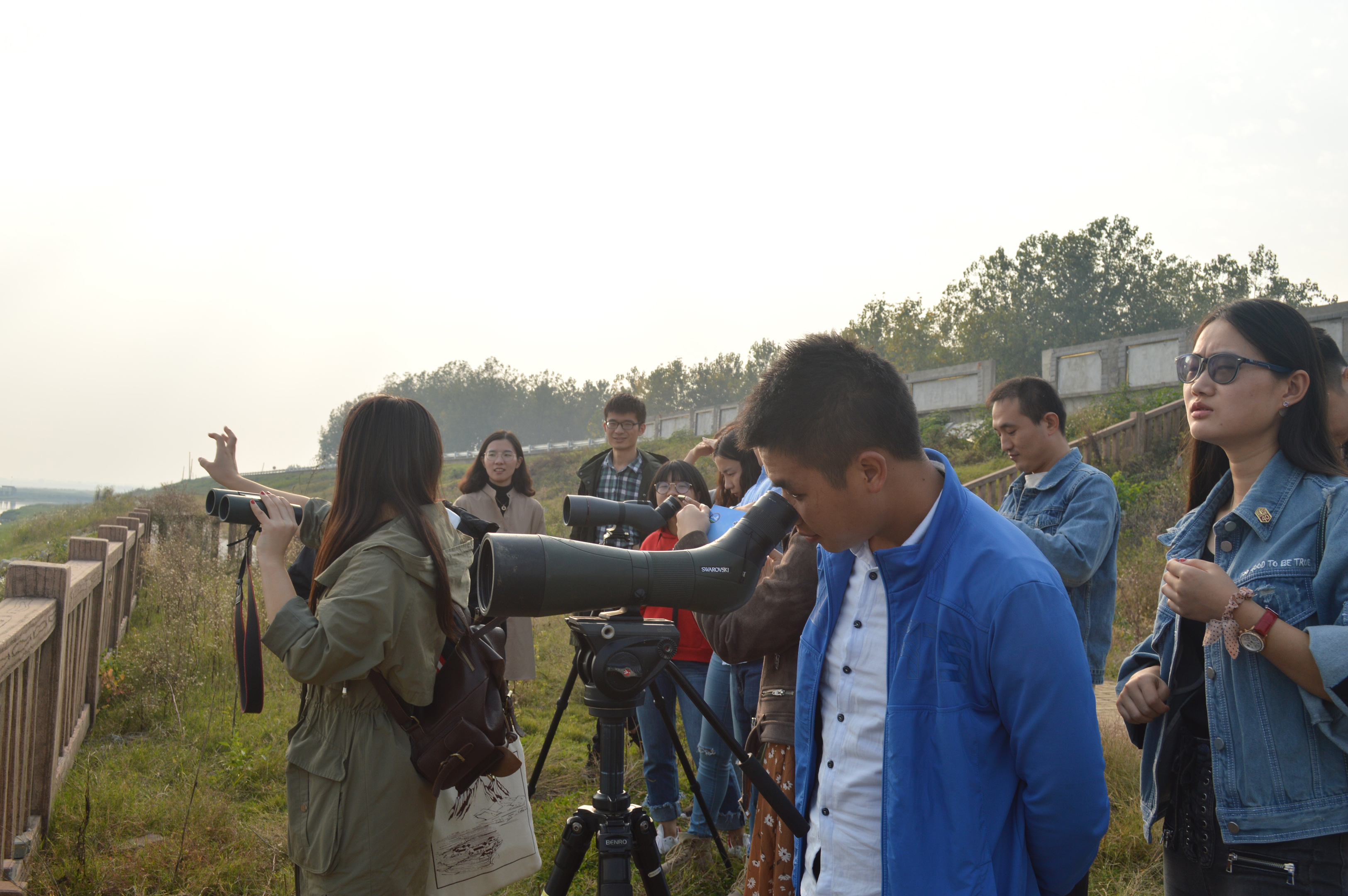 2018年冬季社会实践活动-洞庭湖观鸟