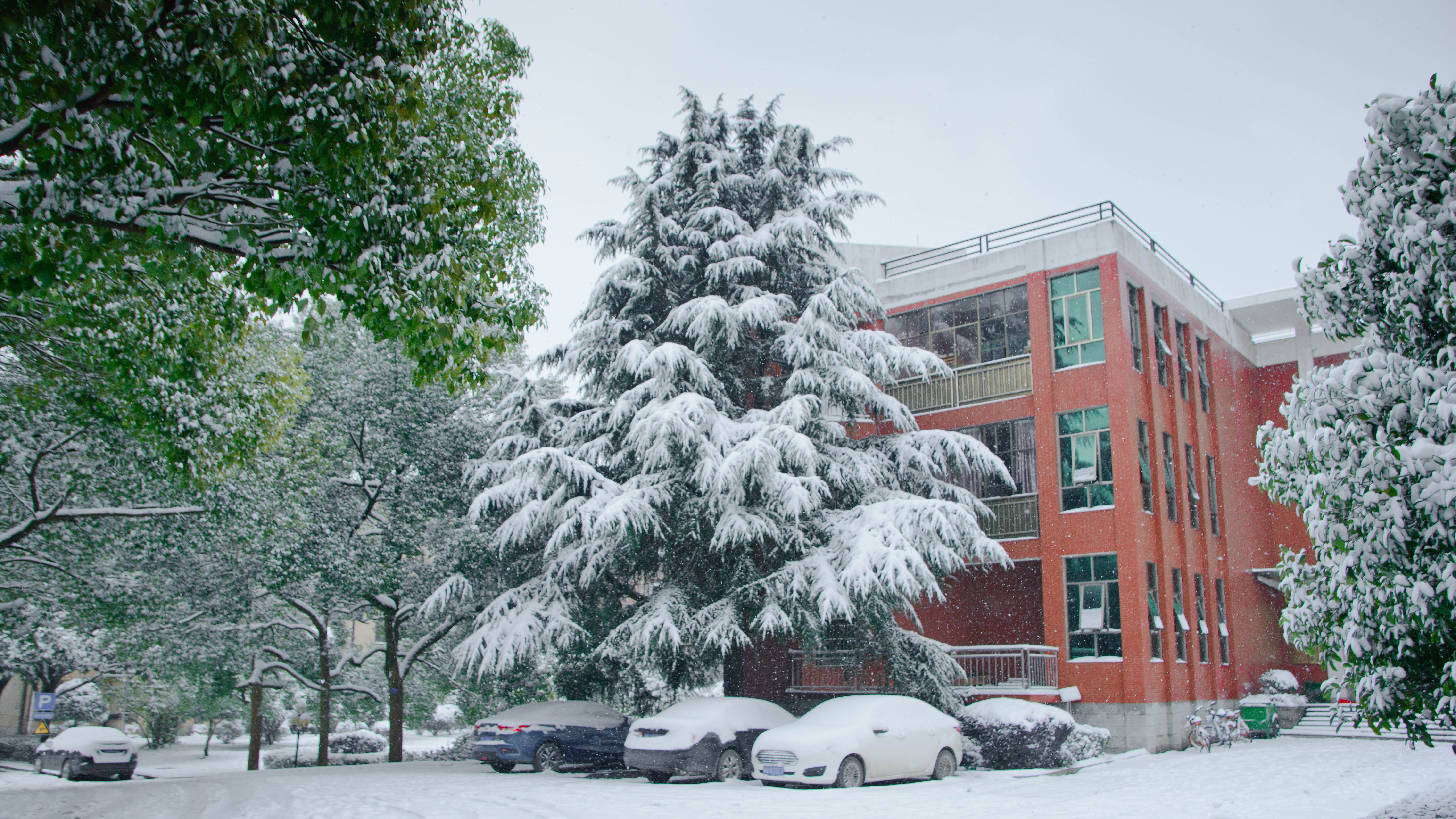 研究所雪景（陈文勋摄）