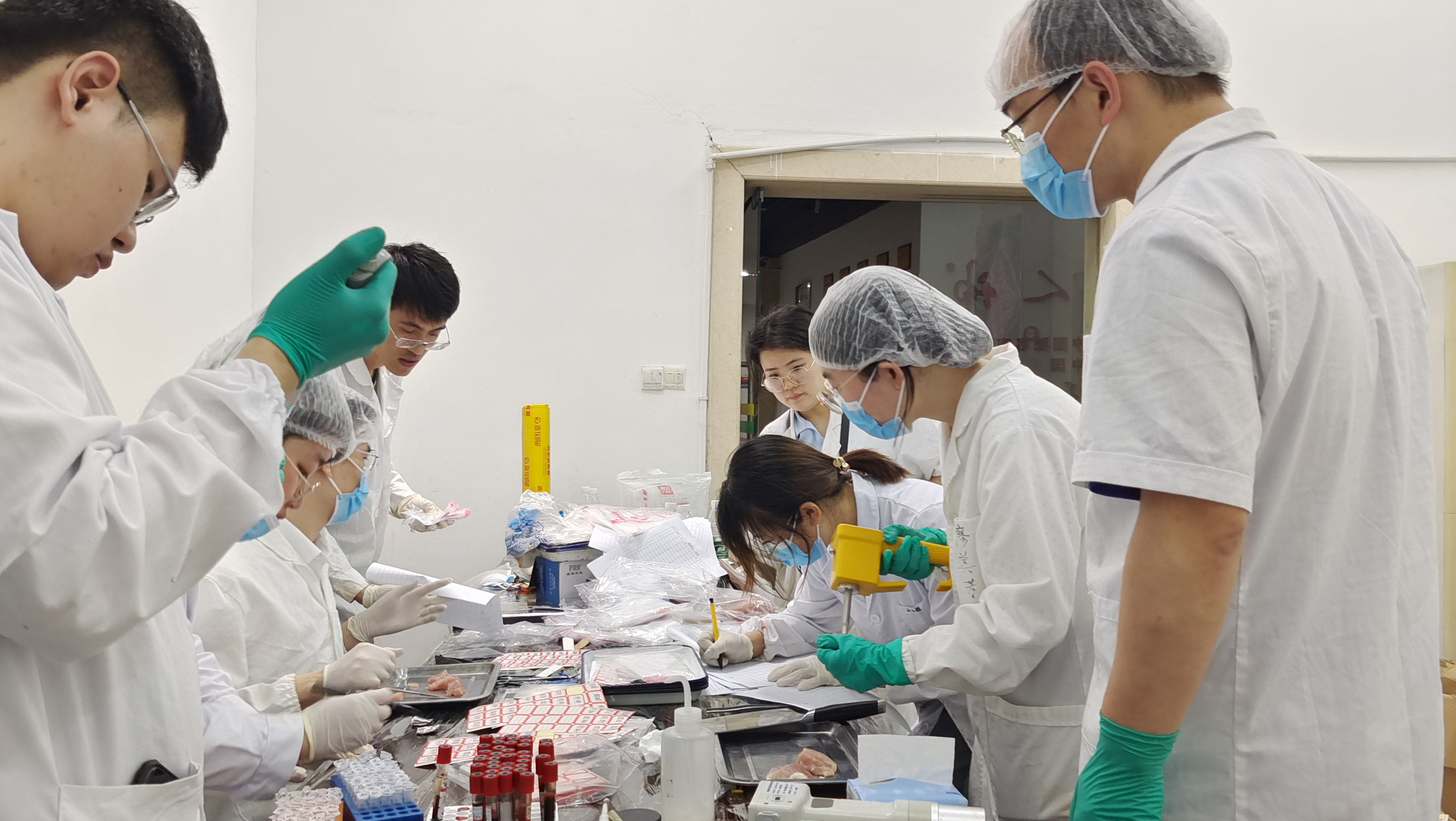 单胃动物组在进行采样（韩萌萌摄）