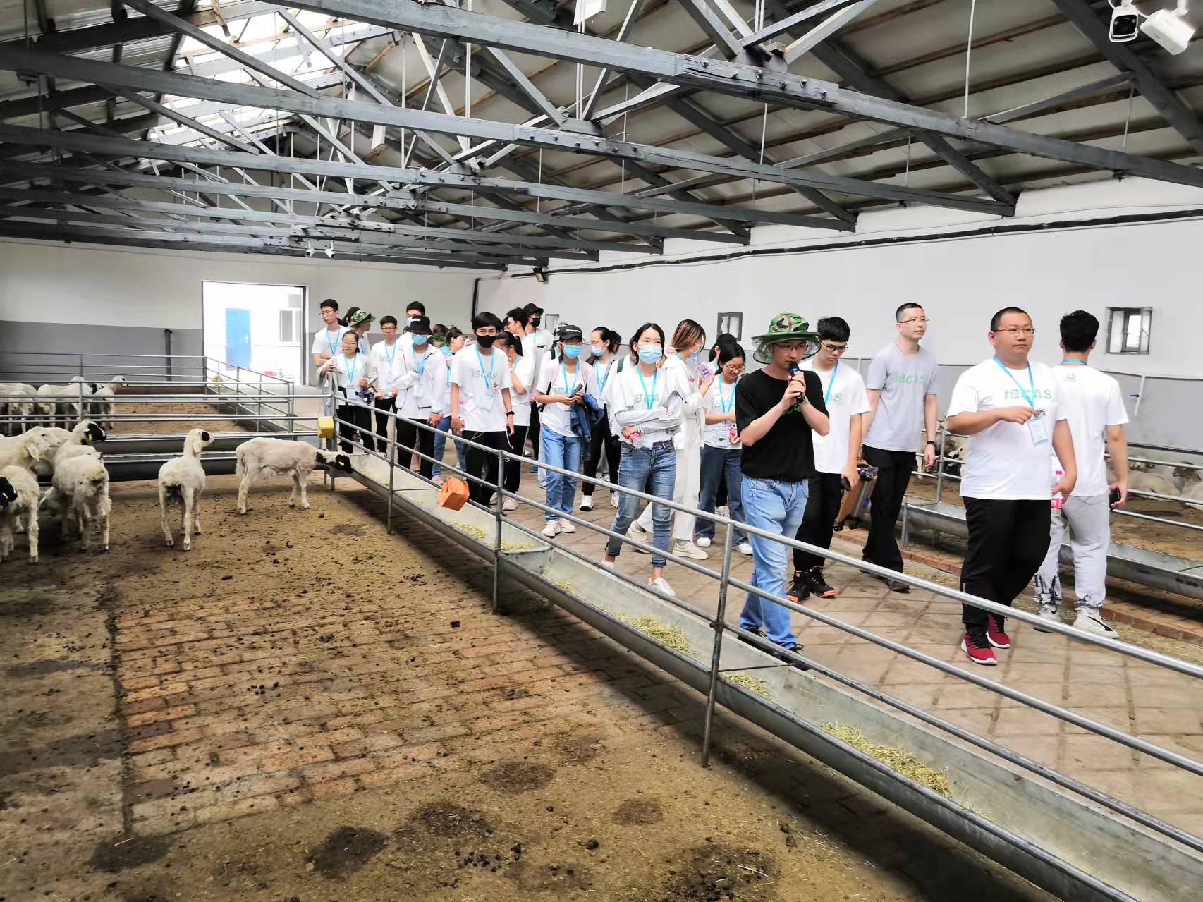 贺志雄研究员带领大学生参观羊舍