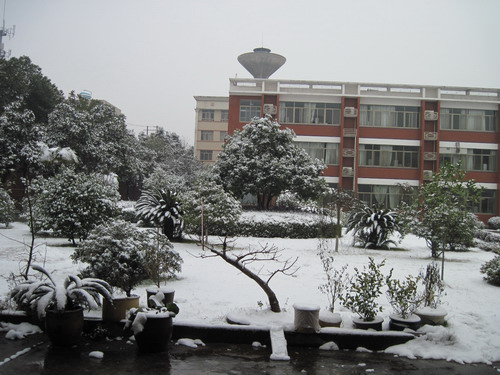 银装素裹的研究所